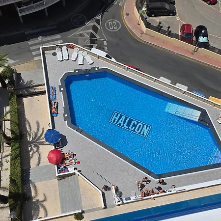 Halcon If